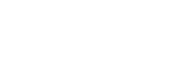 Dollivia - logo